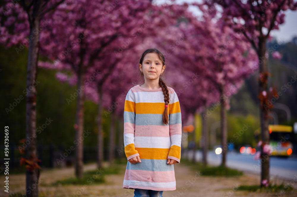 Fototapeta premium Little preschooler girl standing in striped dress before of blooming pink sakura alley