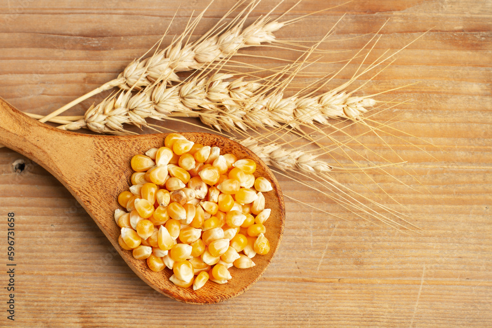 Granos de maíz junto a una