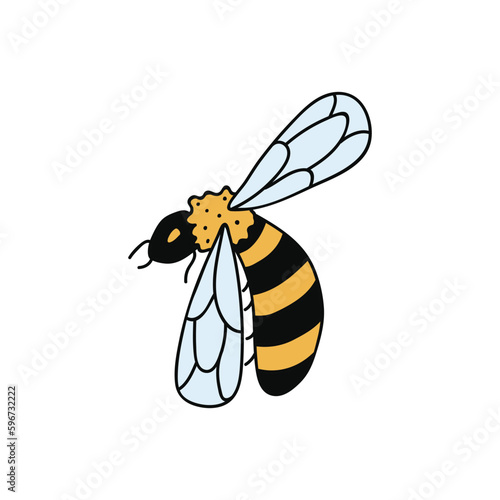 Single hand drawn bee. Doodle vector illustration. Isolated on a white background. Clip art
