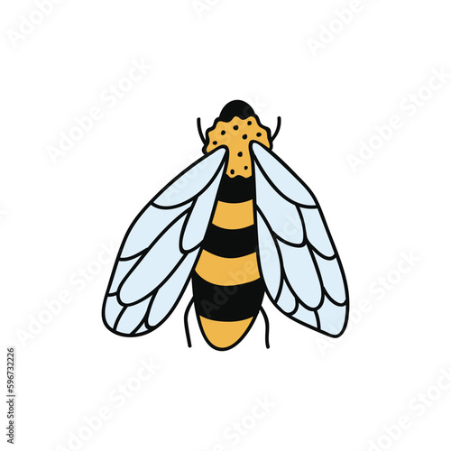 Single hand drawn bee. Doodle vector illustration. Isolated on a white background. Clip art