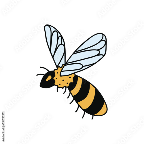 Single hand drawn bee. Doodle vector illustration. Isolated on a white background. Clip art © anngirna