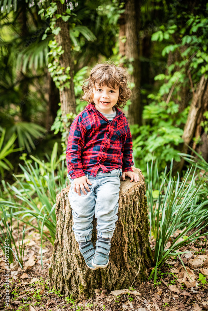 three year old boy in casual red plaid shirt sitting on log in woods smiles happy three year old boy in casual red plaid shirt sitting on log in woods smiles happy