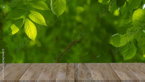 wooden walkway in the garden.