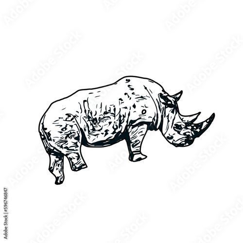 black and white sketch of a rhinoceros with transparent background © Kojeen