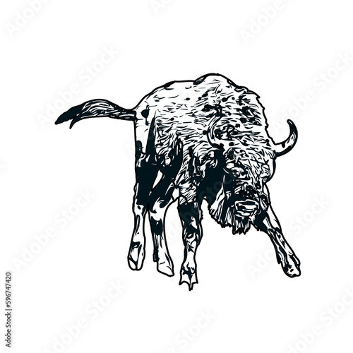 black and white sketch of a bull with transparent background