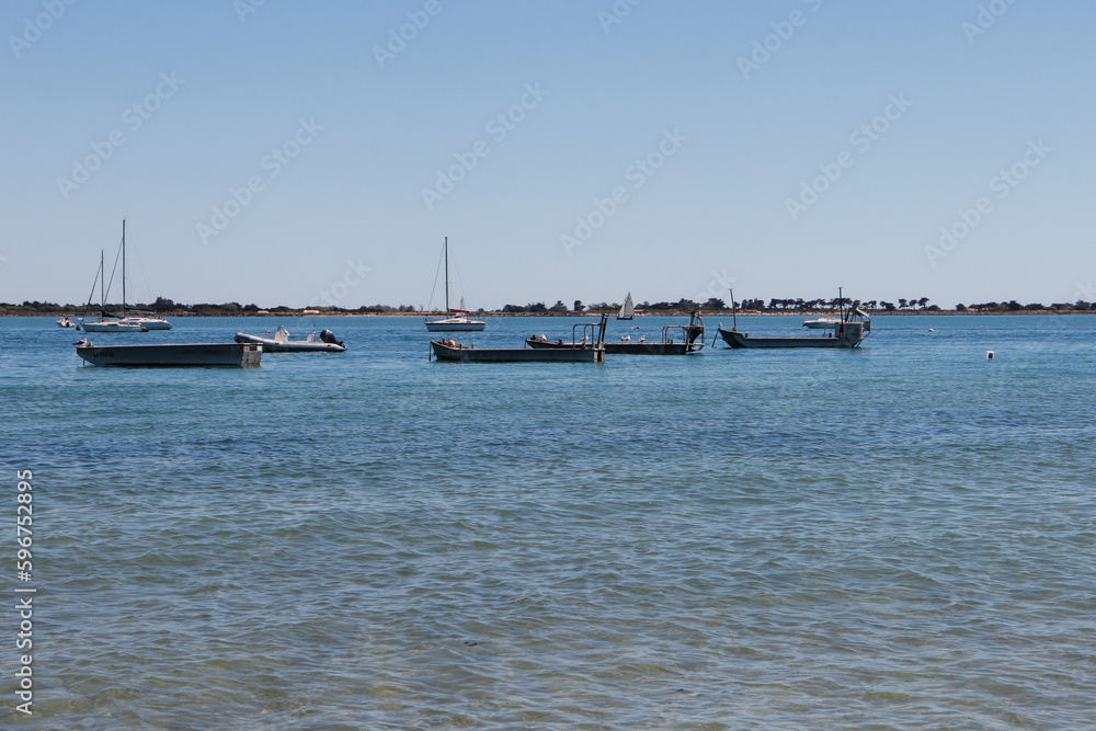 Charente-Maritime - Ile de Ré - Vue sur le fier d'Ars