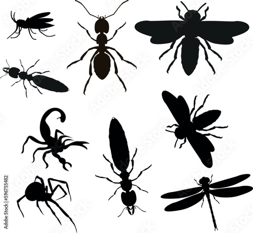 Set of differents insect icons, silhouette vector illustration © Smix Ryo 