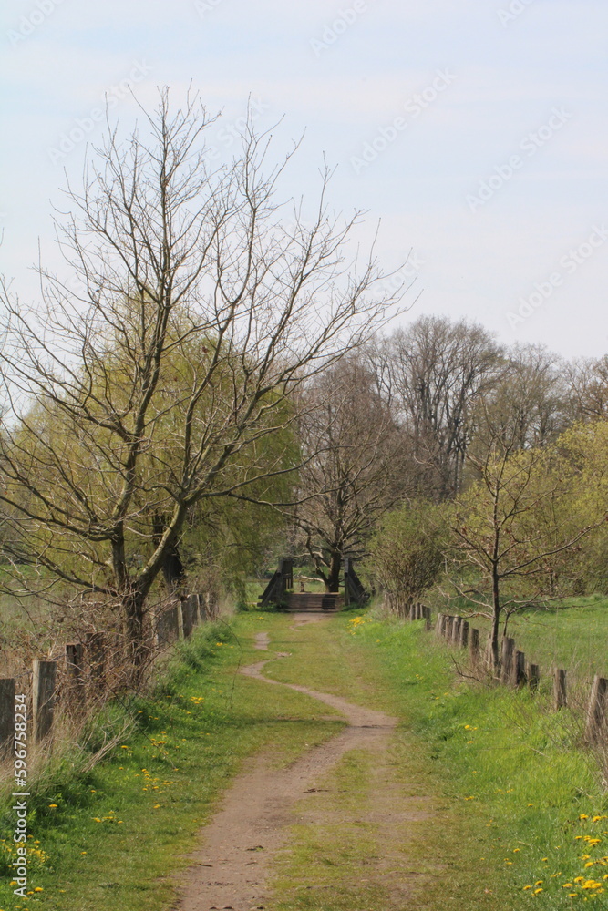 Hiking paths in northwestern Germany, close to the town of Fischerhude Hiking paths in northwestern Germany, close to the town of Fischerhude