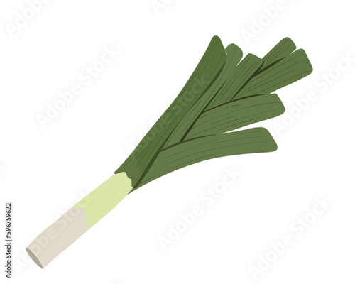 Leek isolated on white background. Vector illustration