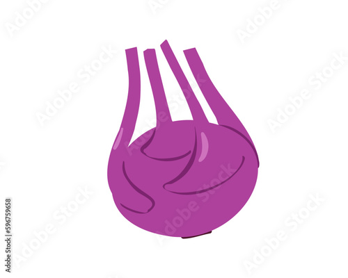 Purple kohlrabi cabbage isolated on white background. Vector illustration