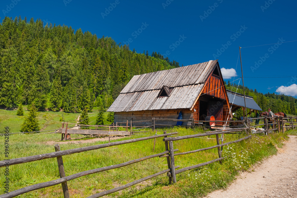 Bacówka nad Dursztynem. Drewniana stodoła na tle zielonej łąki i drzew. 