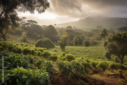 Landscape on coffee plantation, cultivation of caffeine. Generative ai.