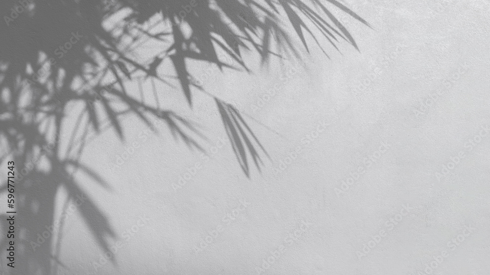 Light and bamboo Tree Shadow on Surface of concrete wall background in black and white style