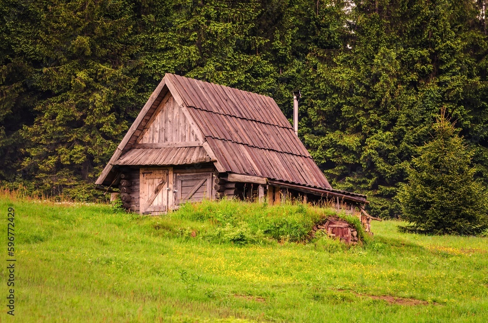 Wooden hut in green forest scenery. Idyllic shed situated on green clearing with pine trees at the background. Wooden hut in green forest scenery. Idyllic shed situated on green clearing with pine trees at the background.