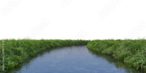 Stream and many plants on transparent background