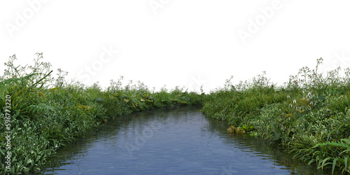 Stream and many plants on transparent background