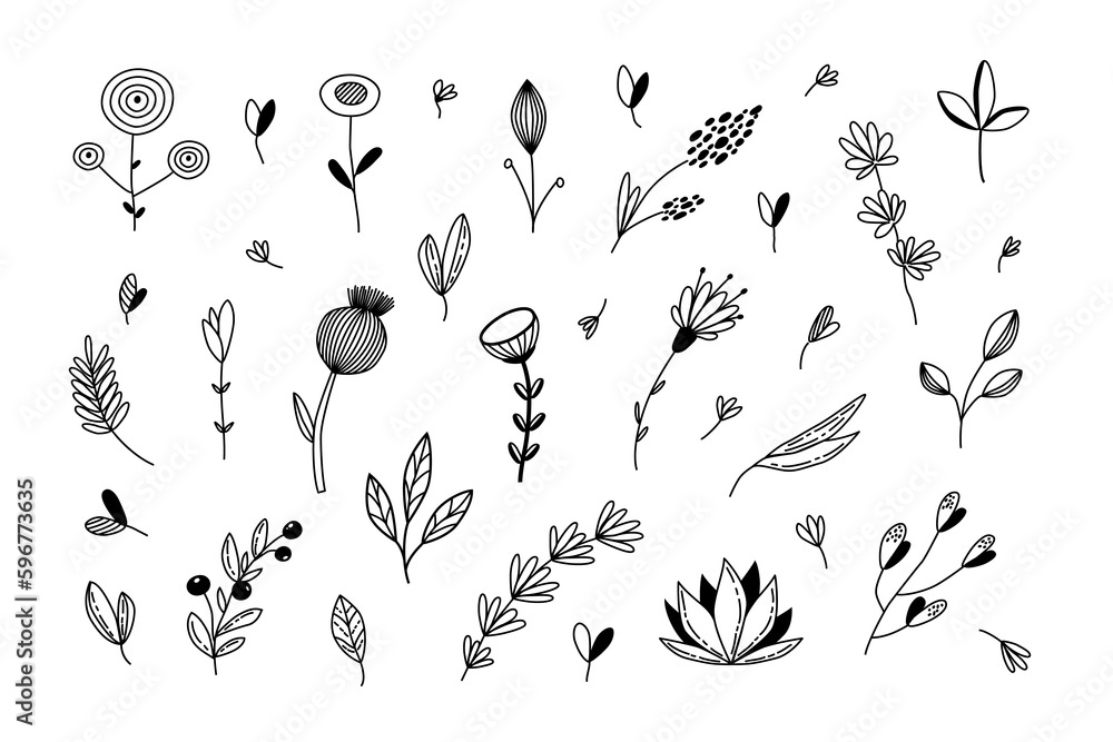 Hand drawn twigs with flowers and berries in the style of doodles. Vector illustration