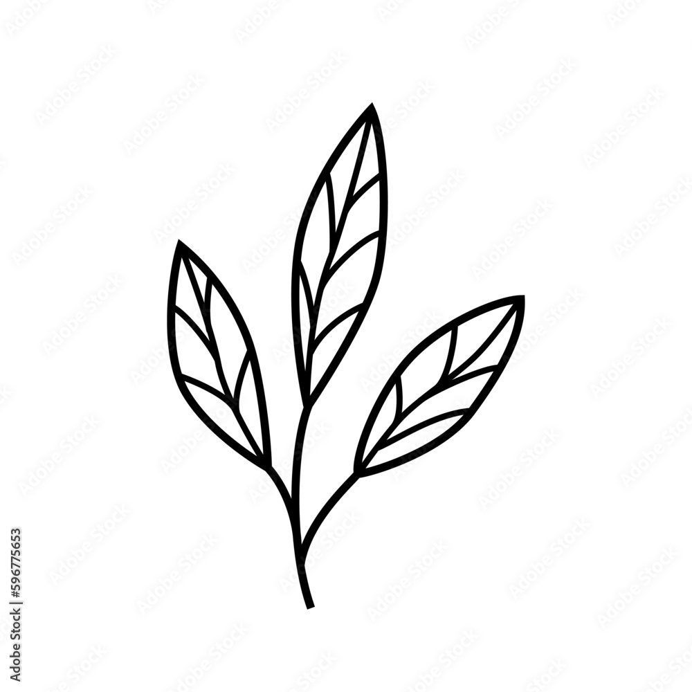 Hand drawn twigs with leaves in the doodle style Hand drawn twigs with leaves in the doodle style