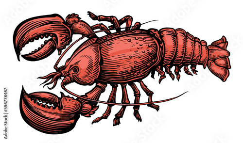 Red Lobster. Seafood. Crustacean aquatic animal vector illustration