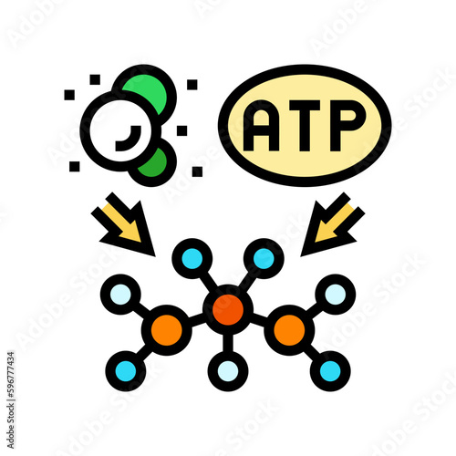 anabolism biochemistry color icon vector illustration