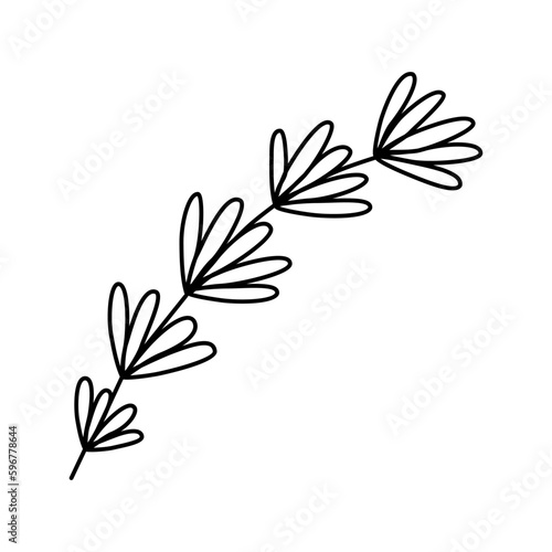 Hand drawn twigs with leaves in the doodle style