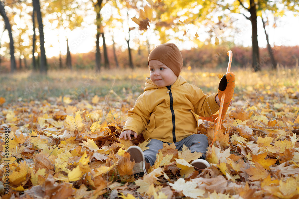 Autumn portrait of a child sitting in maple leaves, happy little child boy playing in autumn in nature walk outdoors Autumn portrait of a child sitting in maple leaves, happy little child boy playing in autumn in nature walk outdoors