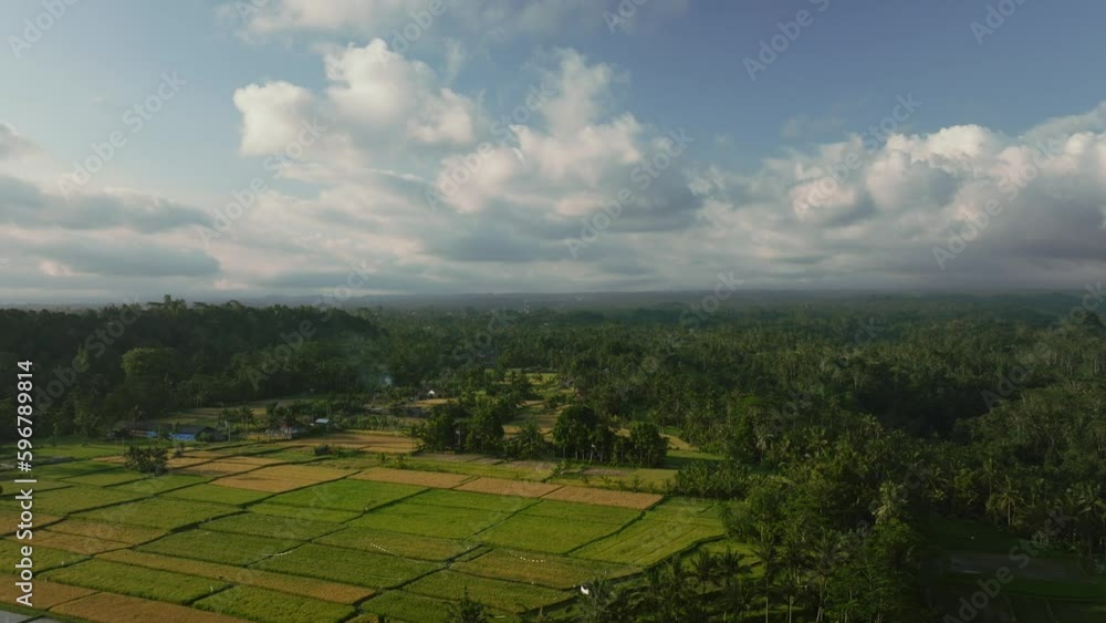 Drone view of Bali. Rice Terrace. Top view Drone view of Bali. Rice Terrace. Top view