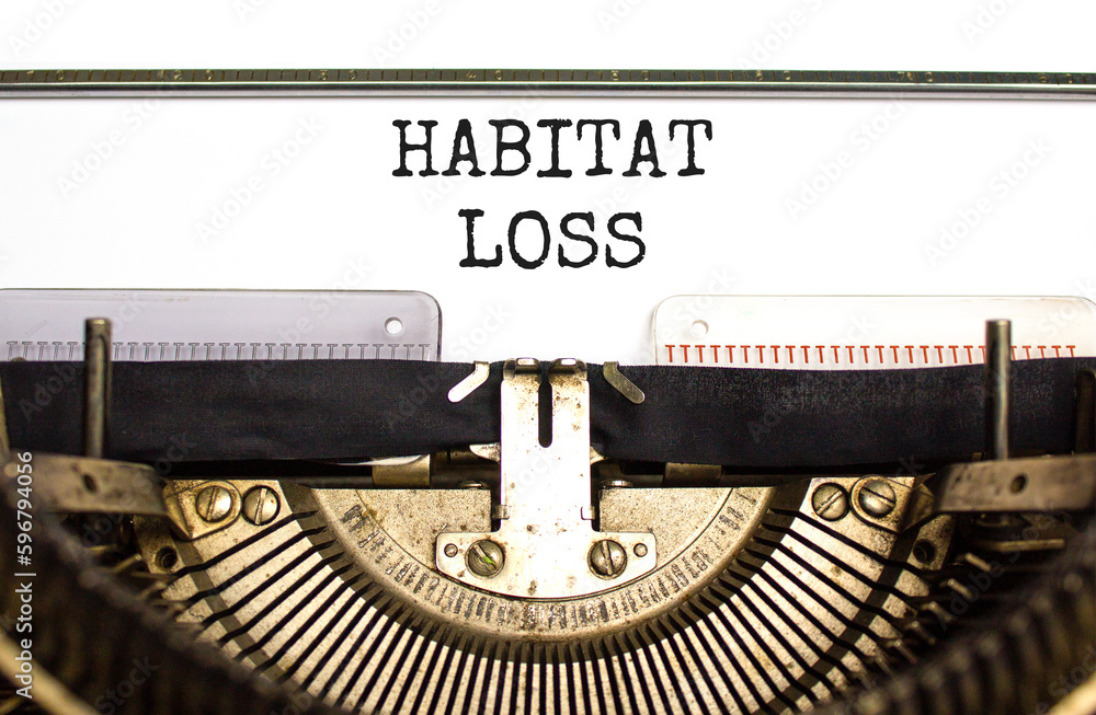 Habitat loss symbol. Concept words Habitat loss typed on white paper on old retro typewriter. Beautiful white background. Business habitat loss concept. Copy space.