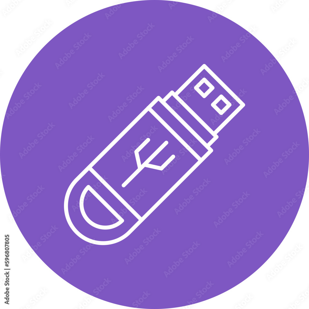 Flash Disk Multicolor Circle Line Inverted Icon Flash Disk Multicolor Circle Line Inverted Icon