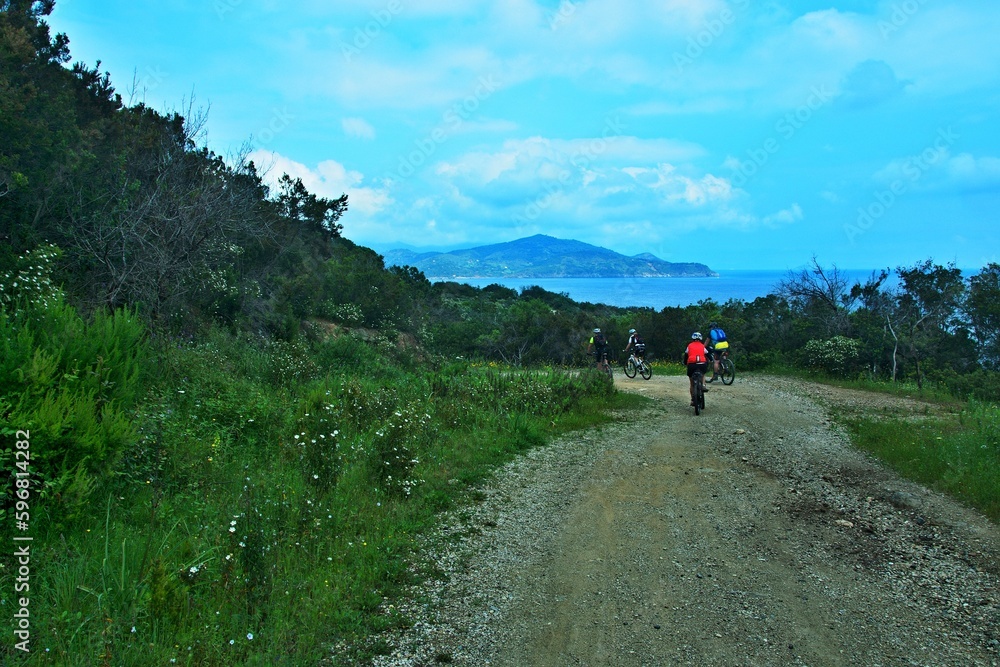 Italy-view on the cyclicts near town Pareti on the island of Elba