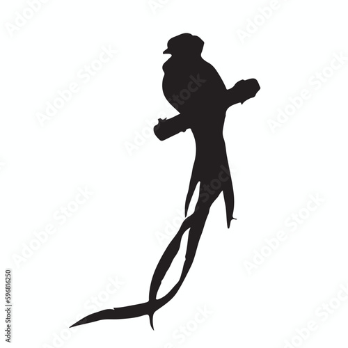 Quetzal silhouettes and icons. Black flat color simple elegant Quetzal animal vector and illustration.