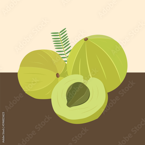 Indian Gooseberry Creative Vector and Illustration