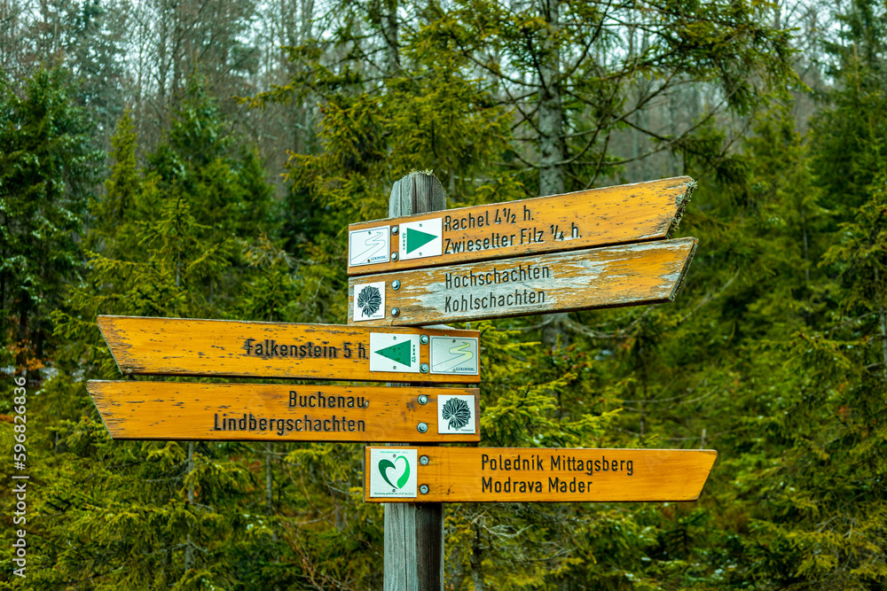 Frühlingswanderung im Bayerischen Wald zum Zwieselter Fist an der Grenze zu Tschechien - Bayern - Deutschland