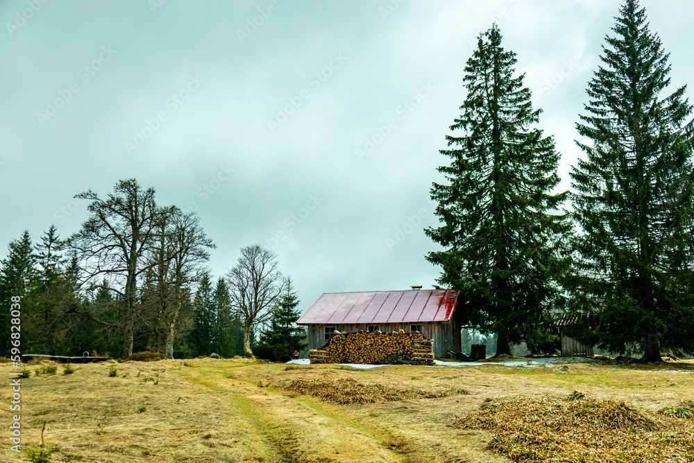 Frühlingswanderung im Bayerischen Wald zum Zwieselter Fist an der Grenze zu Tschechien - Bayern - Deutschland Frühlingswanderung im Bayerischen Wald zum Zwieselter Fist an der Grenze zu Tschechien - Bayern - Deutschland