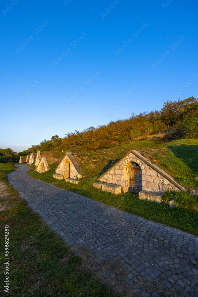 Autumnal Gombos-hegyi pincesor in Hercegkut, UNESCO site, Great Plain, North Hungary Autumnal Gombos-hegyi pincesor in Hercegkut, UNESCO site, Great Plain, North Hungary
