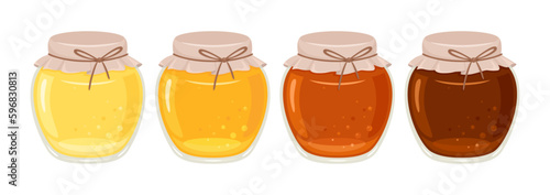 Set of jars with different honey. Vector cartoon flat illustration of natural sweets.