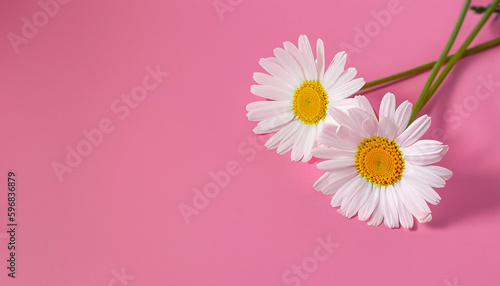 flowers on a pink background