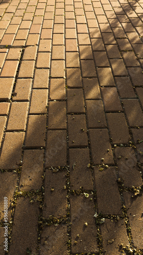 Portion of tiled floor with rectangular tiles