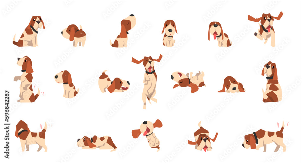 Obraz premium Basset Hound dog big set. Cute funny pet animal in various poses cartoon vector Illustration