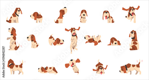 Basset Hound dog big set. Cute funny pet animal in various poses cartoon vector Illustration © topvectors