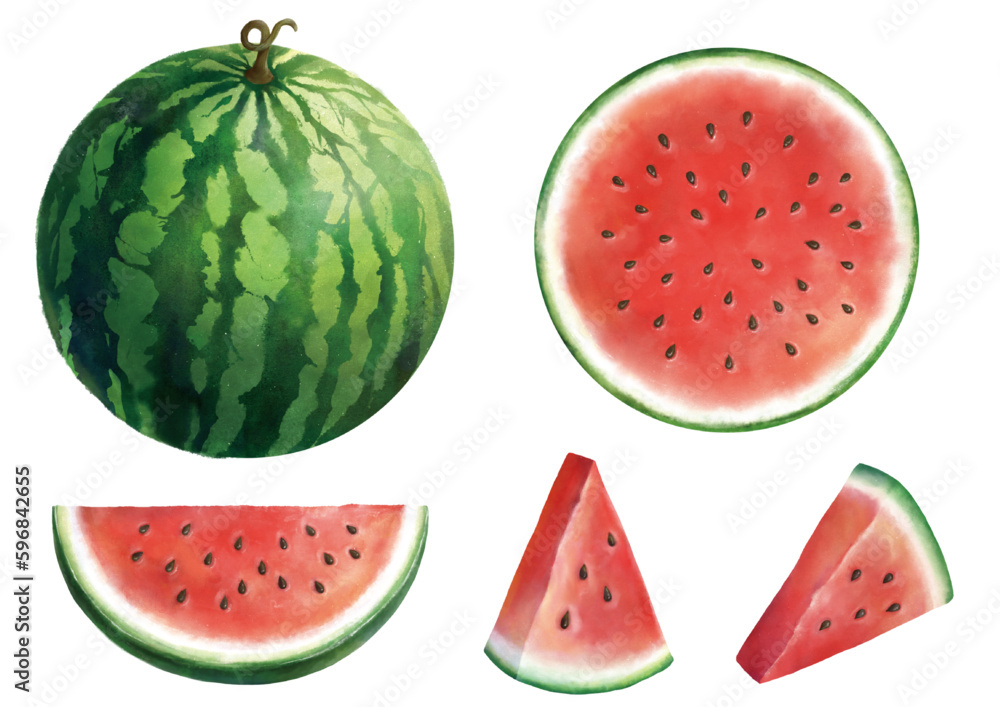 Watermelon illustration set | Whole and slices watermelon l Watercolor hand-drawn illustration | Isolated on white background Watermelon illustration set | Whole and slices watermelon l Watercolor hand-drawn illustration | Isolated on white background
