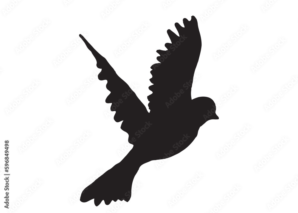 Obraz premium Birds Vector