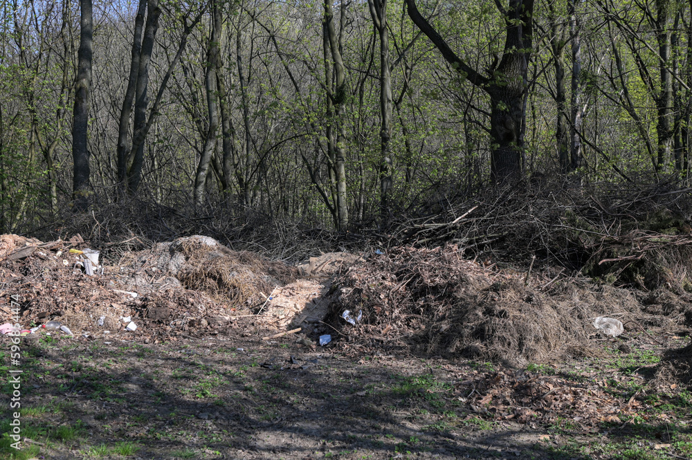 garbage in the forest , image taken in countryside garbage in the forest , image taken in countryside