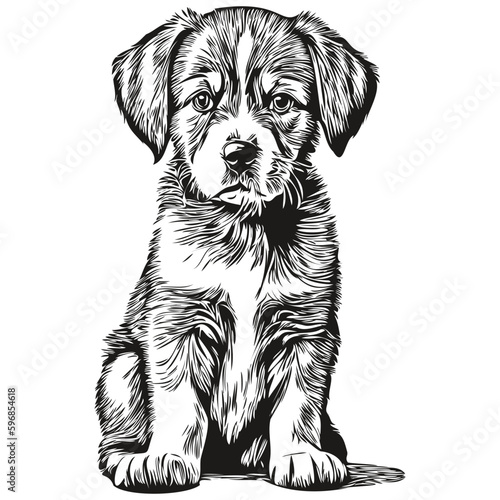 Black and white linear paint draw puppy vector illustration puppies