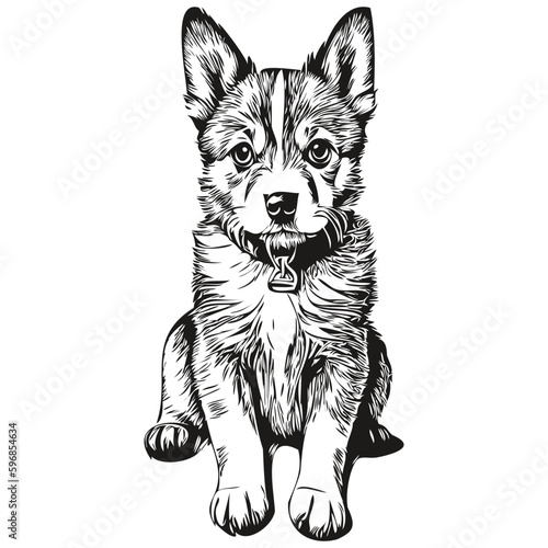 puppy sketchy, graphic portrait of a puppy on a white background, puppies