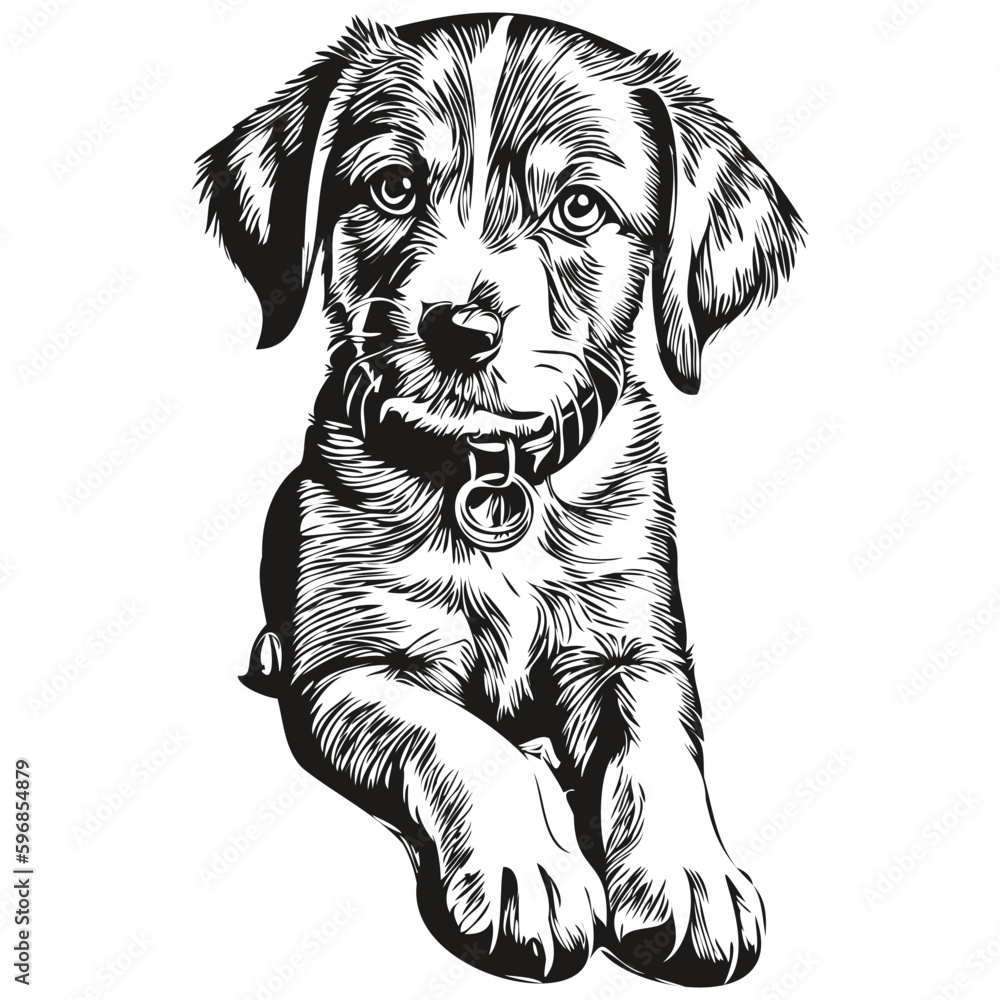 Engrave puppy illustration in vintage hand drawing style puppies