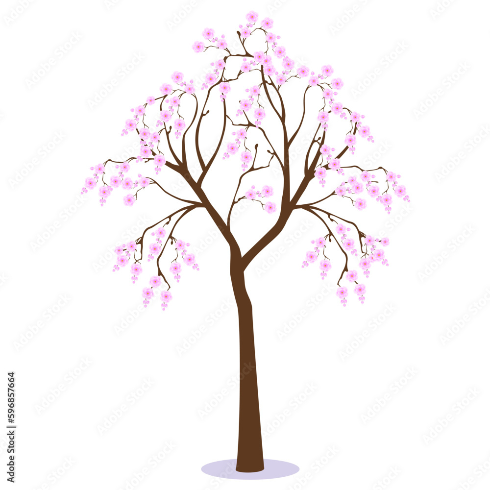 Sakura tree with pink flowers on a white background.