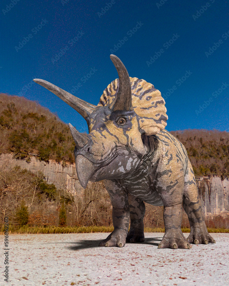 Fototapeta premium triceratops is standing up in winter times