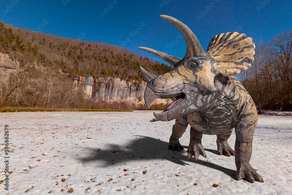 triceratops is looking back in winter times with copy space