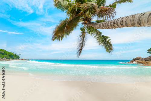 Fototapeta Naklejka Na Ścianę i Meble -  Palm tree leaning over the sand in Anse Georgette beach